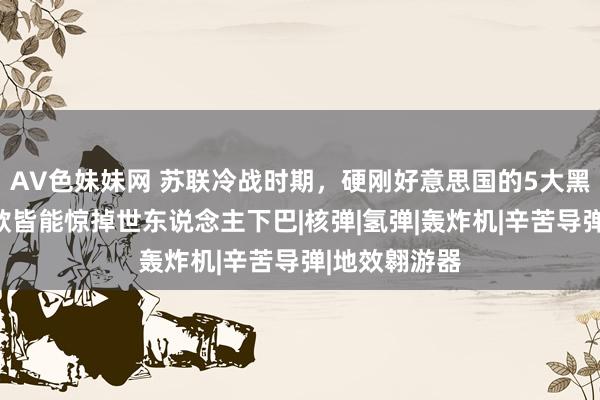 AV色妹妹网 苏联冷战时期，硬刚好意思国的5大黑科技，每一款皆能惊掉世东说念主下巴|核弹|氢弹|轰炸机|辛苦导弹|地效翱游器