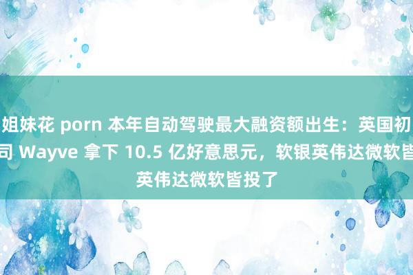 姐妹花 porn 本年自动驾驶最大融资额出生：英国初创公司 Wayve 拿下 10.5 亿好意思元，软银英伟达微软皆投了