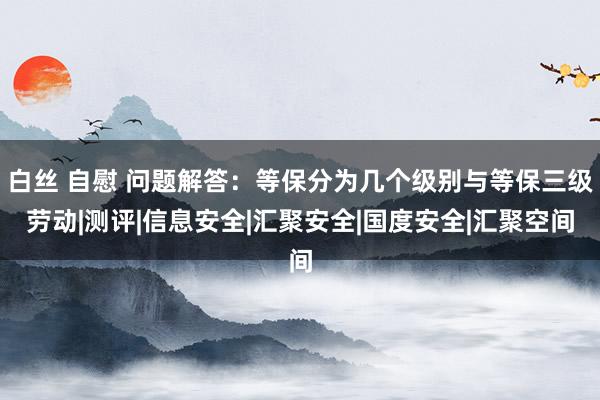 白丝 自慰 问题解答：等保分为几个级别与等保三级劳动|测评|信息安全|汇聚安全|国度安全|汇聚空间