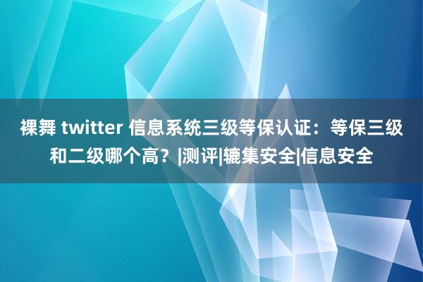 裸舞 twitter 信息系统三级等保认证：等保三级和二级哪个高？|测评|辘集安全|信息安全