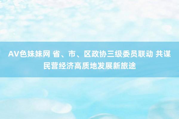 AV色妹妹网 省、市、区政协三级委员联动 共谋民营经济高质地发展新旅途