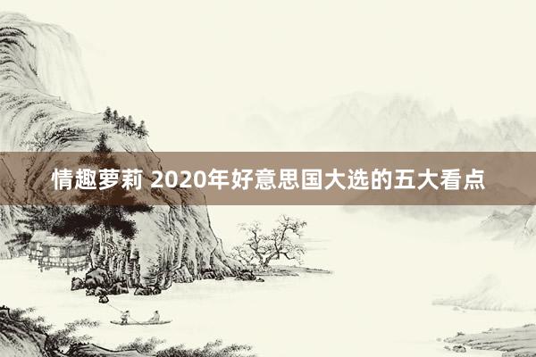 情趣萝莉 2020年好意思国大选的五大看点