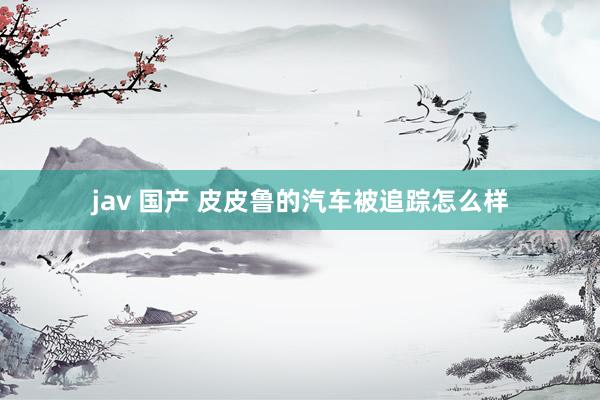 jav 国产 皮皮鲁的汽车被追踪怎么样